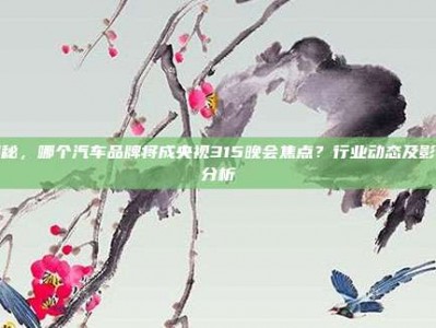 揭秘，哪个汽车品牌将成央视315晚会焦点？行业动态及影响分析