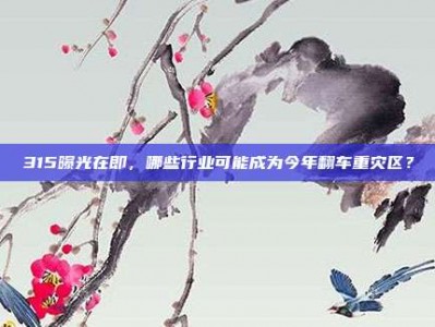 315曝光在即，哪些行业可能成为今年翻车重灾区？