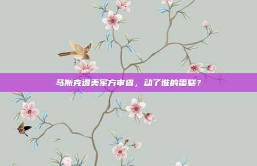 马斯克遭美军方审查，动了谁的蛋糕？