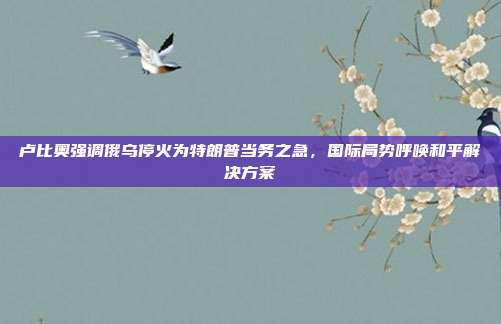 卢比奥强调俄乌停火为特朗普当务之急，国际局势呼唤和平解决方案