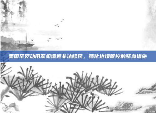 美国罕见动用军机遣返非法移民，强化边境管控的紧急措施