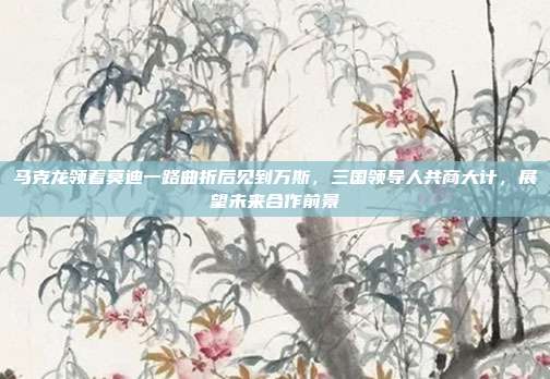 马克龙领着莫迪一路曲折后见到万斯，三国领导人共商大计，展望未来合作前景