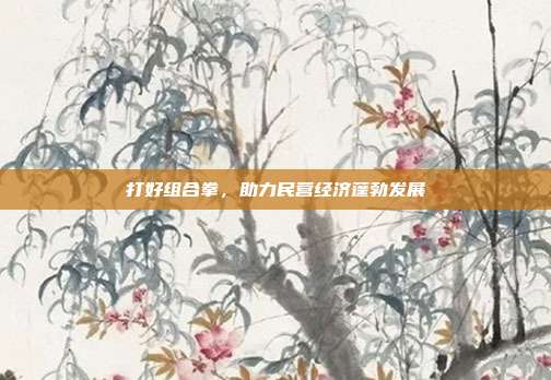 打好组合拳，助力民营经济蓬勃发展