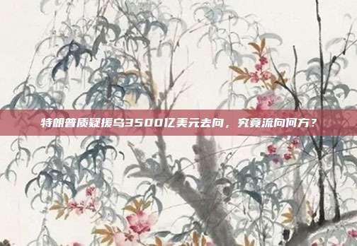 特朗普质疑援乌3500亿美元去向，究竟流向何方？