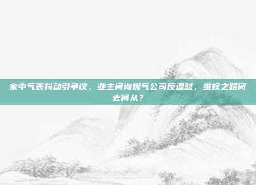 家中气表抖动引争议，业主问询燃气公司反遭怼，维权之路何去何从？