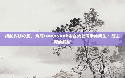 揭秘科技奇观，为何DeepSeek未在大公司孕育而生？博主深度解析