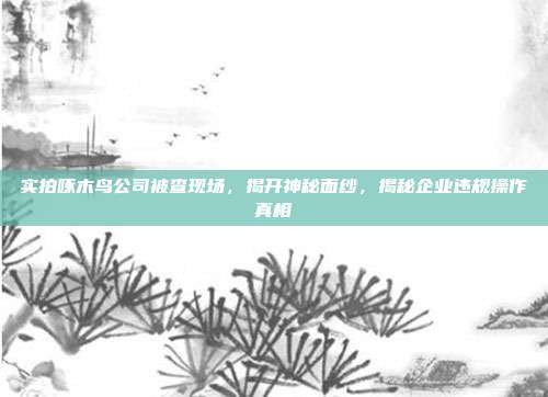 实拍啄木鸟公司被查现场，揭开神秘面纱，揭秘企业违规操作真相