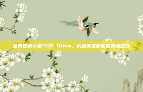 全网首拆小米SU7 Ultra，揭秘未来旗舰的神秘面纱