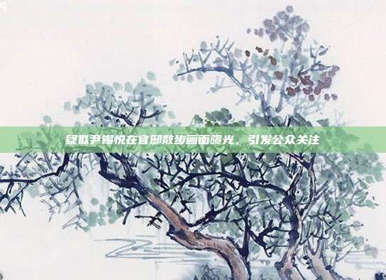 疑似尹锡悦在官邸散步画面曝光，引发公众关注