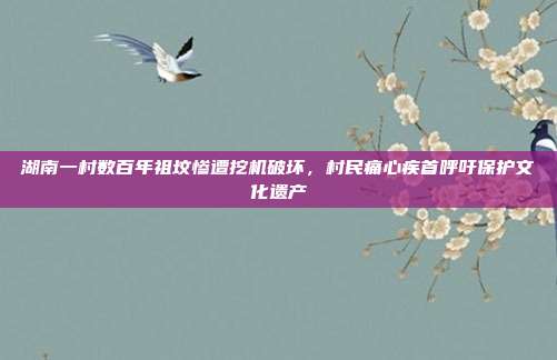 湖南一村数百年祖坟惨遭挖机破坏，村民痛心疾首呼吁保护文化遗产