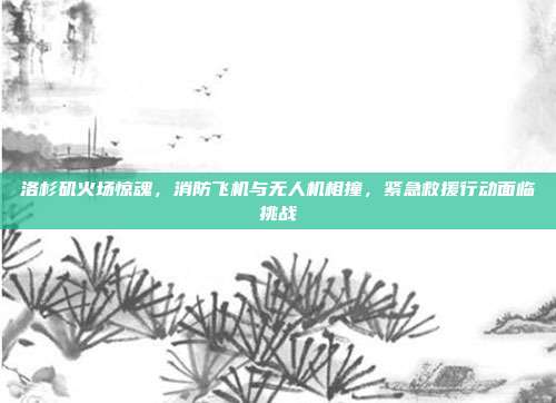 洛杉矶火场惊魂，消防飞机与无人机相撞，紧急救援行动面临挑战