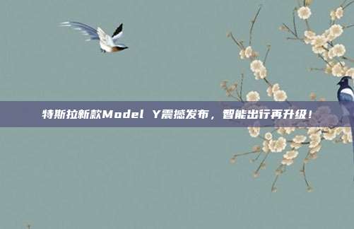 特斯拉新款Model Y震撼发布，智能出行再升级！